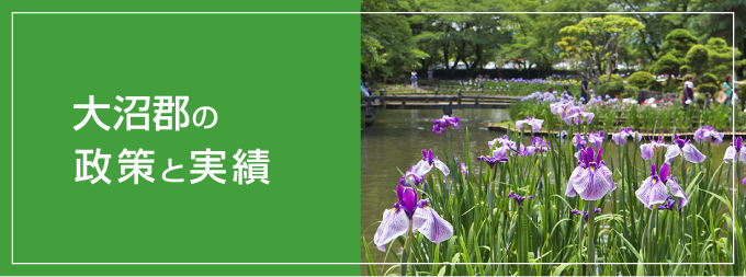 大沼郡